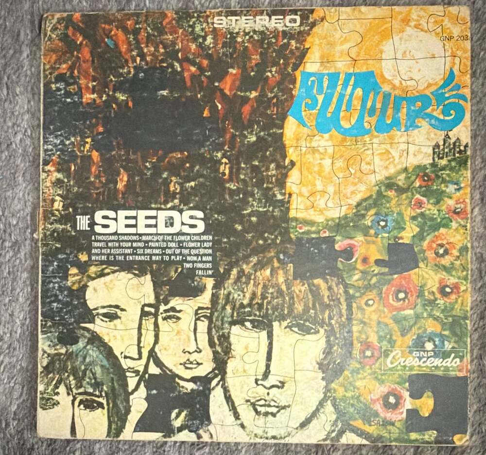 The Seeds - Future Vinyl LP Album Stereo